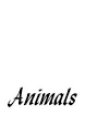 Animals